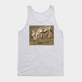 Grazing zebras Tank Top